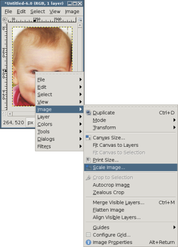 gimp-scaling-image-menu