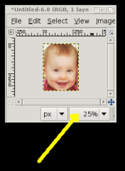 gimp-scaling-view
